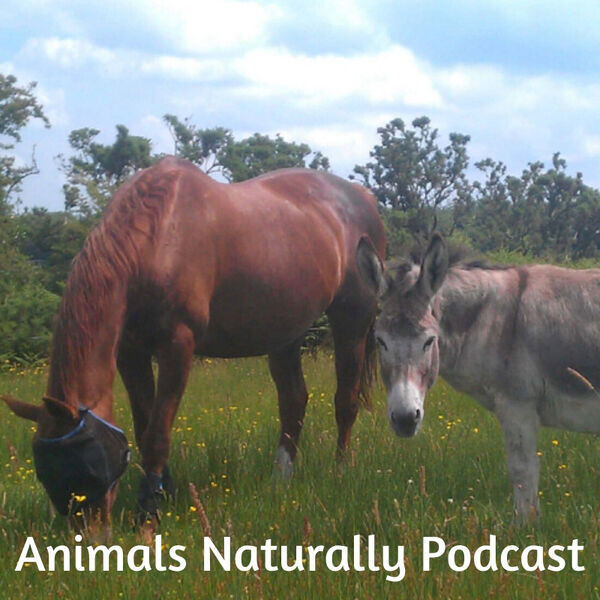 Animals Naturally Podcast Image Logo