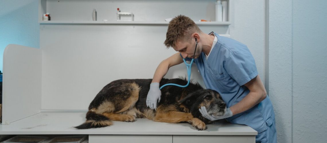 pexels-tima-miroshnichenko-6235231